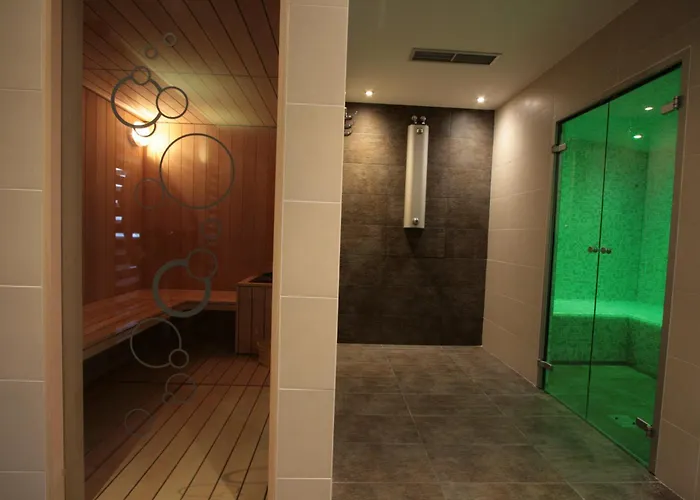 Logis Hotel&spa Beau-site 3*